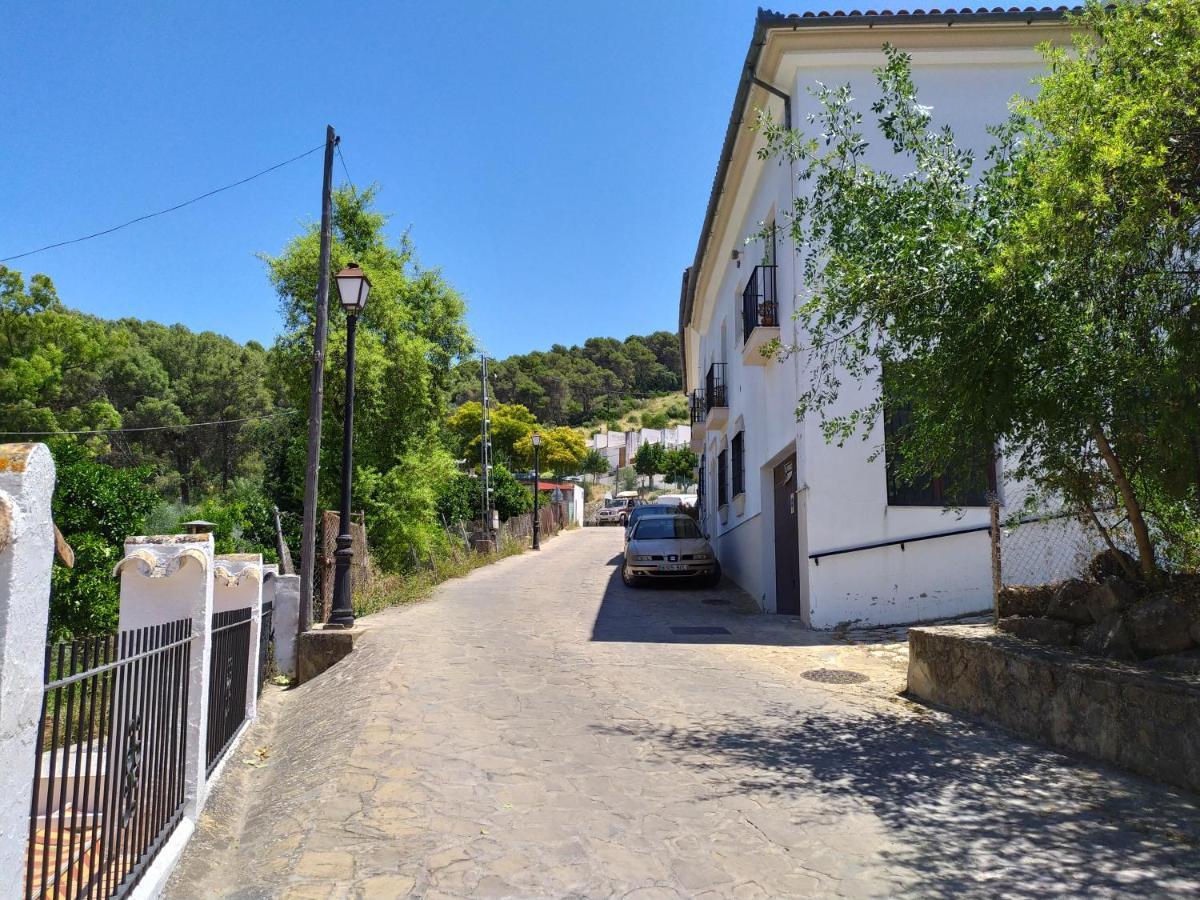 Apartmán Vivienda Majaceite El Bosque Exteriér fotografie