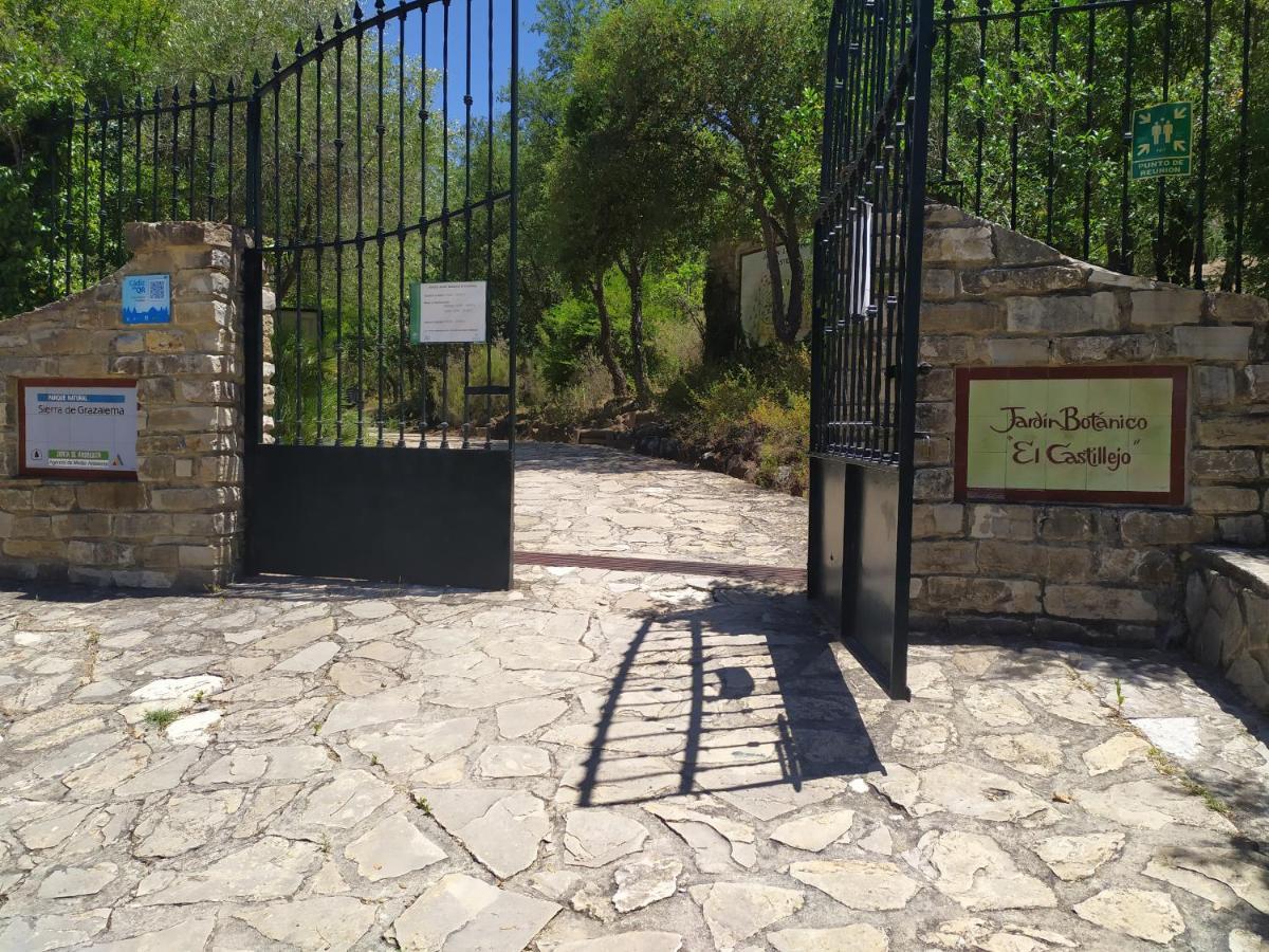 Apartmán Vivienda Majaceite El Bosque Exteriér fotografie